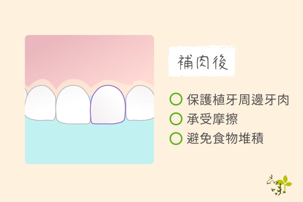 補骨